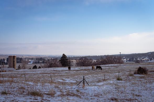 Three horses graze in a snowy field below a wintry blue sky, with an old water tower, scattered trees, and (far away) a city in the background.