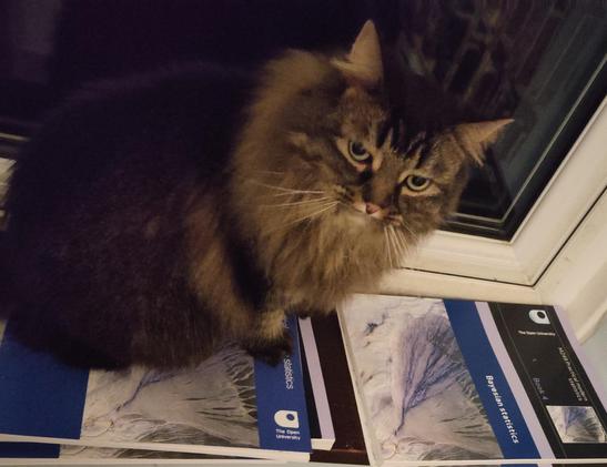 A long hair cat sat on a book obscuring the title, which ends with the word "statistics", and which has the open university logo in the corner. Next to another open university book on bayesian statistics.