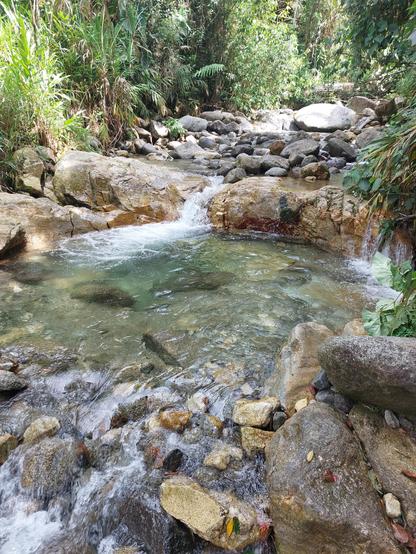 Une jolie riviere sauvage à l'eau claire.