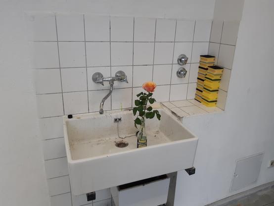 Weißes Waschbecken vor weiß gefliester Wand. Im Waschbecken steht eine Flasche, darin steckt eine orangefarbene Rose. Rechts daneben ein Stapel von vier gelben Abwaschschwämmen
