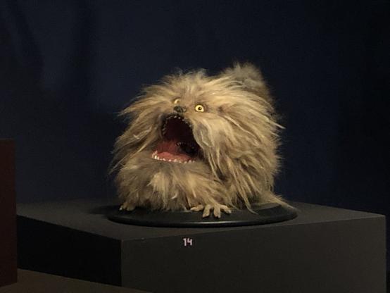 Fizzgig, true star of The Dark Crystal, a small sphere of  fur, teeth, and complaints. His tiny yellow eyes and gaping maw channel some big 2025 energy.