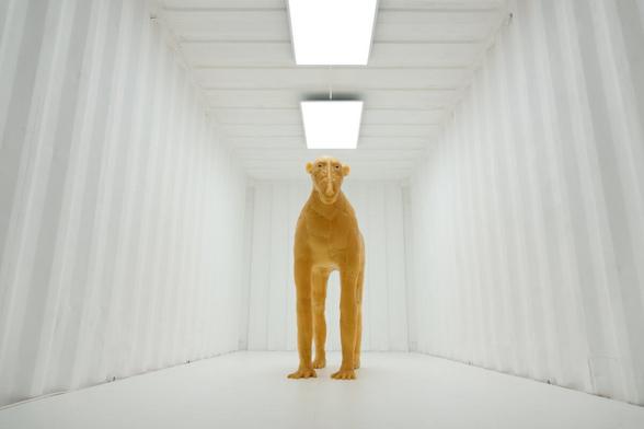 A sculpture with four human hands as legs in a white container