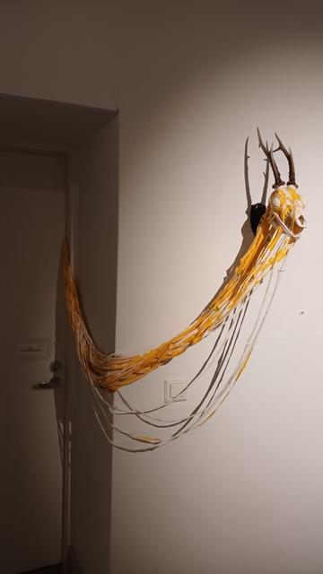 Stuck, 2024
MOKA, Galleria 5, Oulu