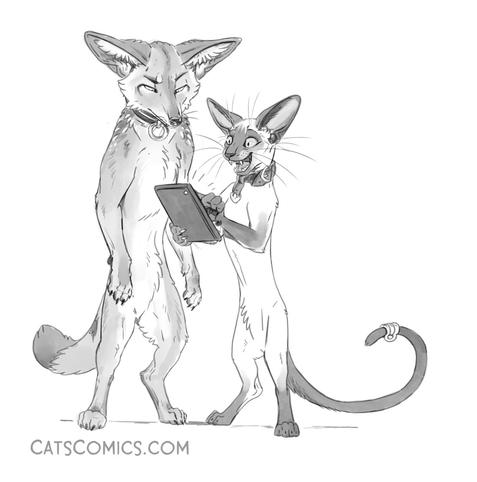 An anthropomorphic Siamese cat named Meezer holding a tablet with an anthropomorphic coyote named Kojote.