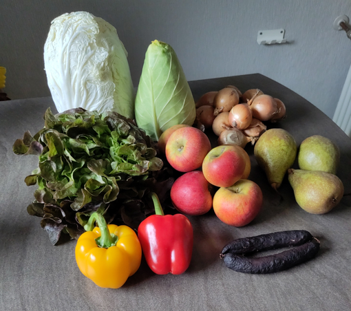 Auf einer graumelierten Küchentheke liegen dekorativ ausgebreitet:
1 Chinakohl, 1 Spitzkohl, Zwiebeln, 1 roter Eichblattsalat, je eine rote und gelbe Paprika, 6 Äpfel, 3 Birnen, 1 Pärchen getrockneter Blutwürste