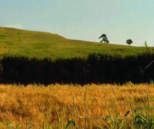 Fotograma de la película La Comunidad del Anillo, de Peter Jackson, de la famosa escena en la que Frodo Bolsón y Samsagaz Gamyi alcanzan el punto más lejano de la Comarca al que Sam había llegado hasta ese momento, el cual se detiene para hacerle saber este dato a Frodo.
Sin embargo, ninguno de estos dos personajes aparecen en la imagen, como si esta fuera una instantánea del paisaje justo antes de que la pareja de hobbits llegase allí.