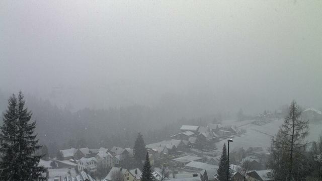 Appenzeller Hügel und Häuser sind verschneit. Dazu Nebel.