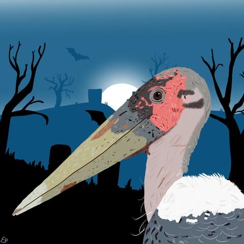 A marabou stork, an enormous bird with a very long yellowish-grey beak, light pink markings around the eyes, a blackish-grey forehead, cream coloured neck, white back and blueish body, in front of a shadowy graveyard with dead trees, bats and a shimmering full moon, cartoon style.