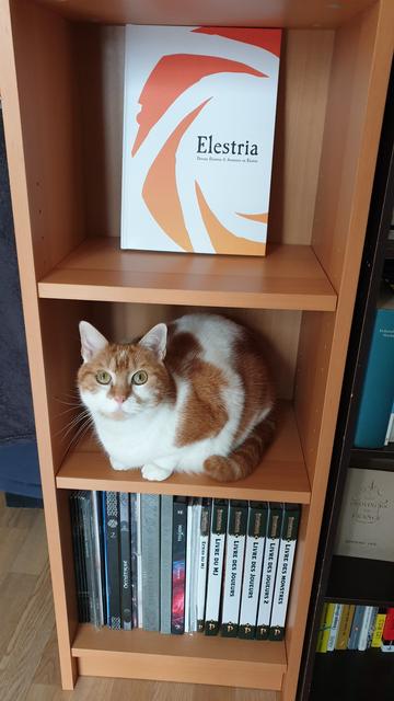 Une chatte rousse et blanche installée dans le rayonnage du milieu d'une petite étagère teinte chêne. Au-dessus, le livre du JdR français Elestria, dont la couverture est aussi rousse et blanche ^^