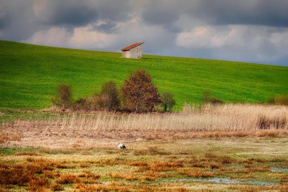 Moorlandschaft

Copyright: FietzFotos / Pixabay