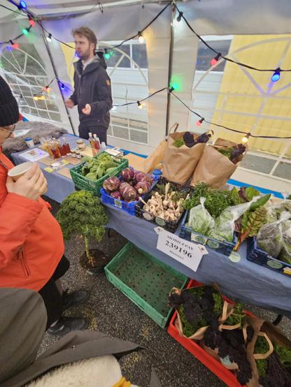 Vegetables loose in boxes and in paper bags, in a tent with windows, coloured lights strung up along the tent