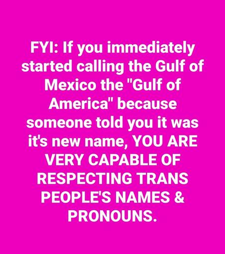 Pink background with white test that reads, "FYI: If you immediately started calling the Gulf of Mexico the "Gulf of America" because someone told you it was it's new name, YOU ARE VERY CAPABLE OF RESPECTING TRANS PEOPLE'S NAMES AMD PRONOUNS.