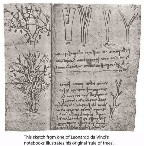 sketch from one of Leonardo da Vinci's notebooks illustrating his original rules of trees