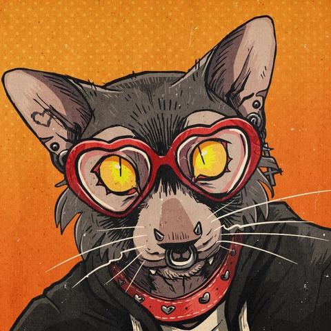 A pierced lykoi cat in heart glasses looks at the viewer with striking golden eyes.