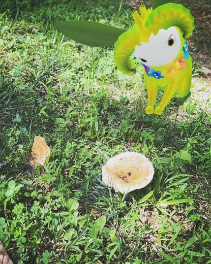 A green Peridot creature sitting in the grass. It appears to be looking at some wild mushrooms.