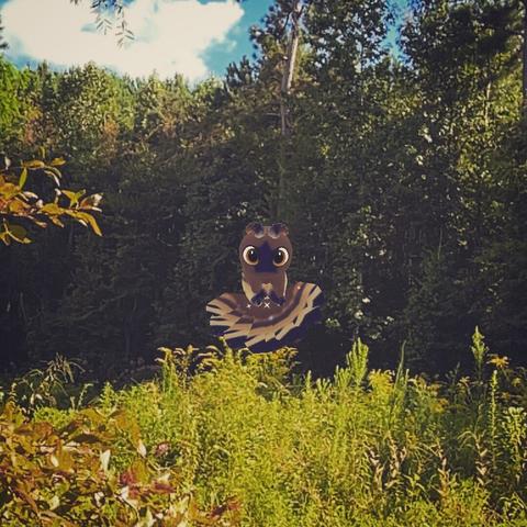 A brown Peridot creature hovering in the air in front of some trees on a late summer day.