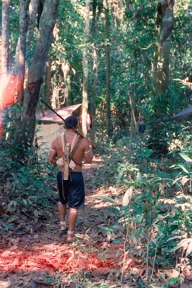 A Matis hunter walking through the jungle in Brazil, carrying a blowgun. He is shirtless, wearing dark shorts, and has a traditional woven strap across his back holding hunting supplies. The dense jungle surrounds him with tall trees and undergrowth.