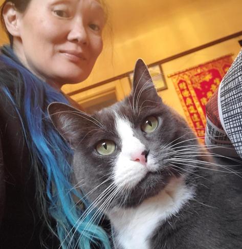Selfie of me with my long blue, ponytailed hair & my green eyed, gray tuxedo cat on my lap. He's sitting on my lap & squeezed in between my body & the kitchen table.