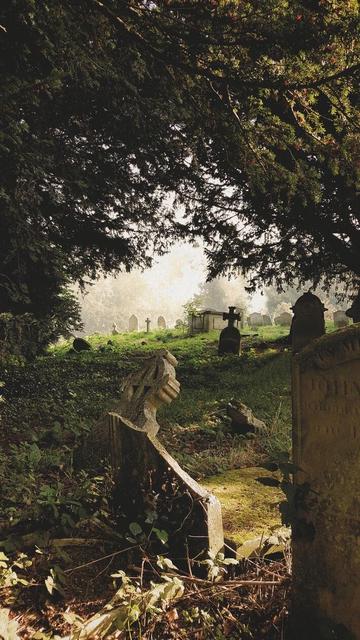 A misty cemetery scene with overgrown grass and gravestones partially obscured by trees. The atmosphere is serene, with soft lighting filtering through the foliage.

Cemetery photo found on Mastodon… but Apple Photo loses the url 🙈