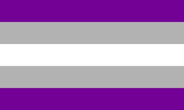 Grey asexual flag