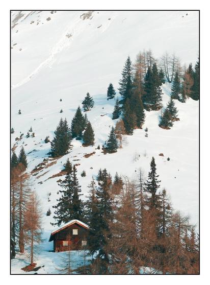 A small wooden cabin sits nestled amongst snow-covered trees on a steep mountain slope, evoking a sense of peaceful isolation in a winter wonderland.