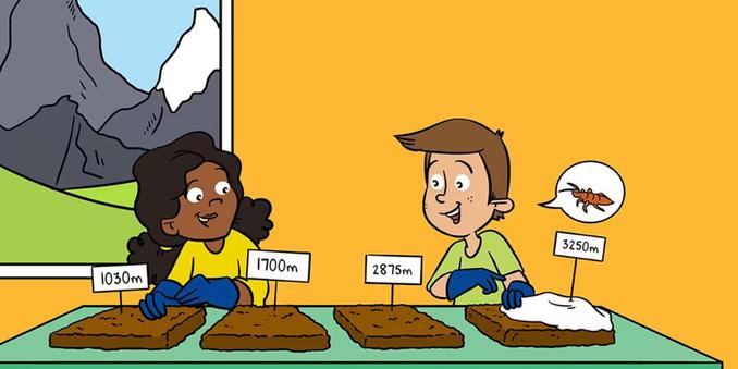 A comic showing two kids investigating mountain soils from different elevations.
