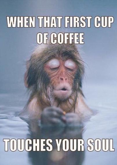 A monkey in water, looking very at pease and comfy,
Text:
When that first cup of coffee
Touches your soul