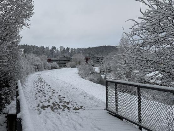 A snow-covered path flanked by trees and leading to buildings in the distance creates a serene winter landscape.