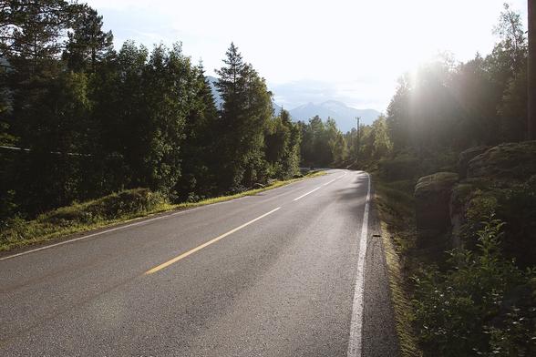 A peaceful, winding road in Norway surrounded by lush green trees and bathed in the golden glow of the setting sun. Snow-capped mountains can be seen faintly in the distance under a soft blue sky.