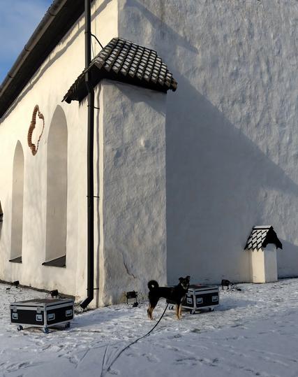 Koira seisoo yhdellä Porvoon tuomiokirkon kulmauksella kahden roudauslaatikon välissä. Taustalla näkyy myös maahanasetettuja valonheittimiä. Maassa on lunta, päivä on poutainen.