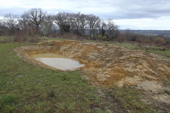 le tout nouveau trou fraichement creusé à la pelle mécanique. La pluie en a déjà garni le fond d'une petite couche d'eau de 5-10 cm et un Gerris a immédiatement investi les lieux. Au fond un bois de chênes et châtaigniers.