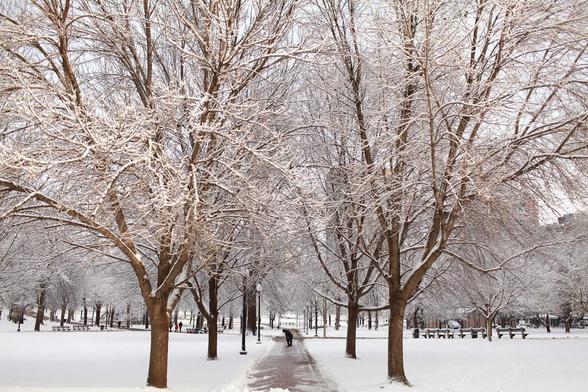 Boston Common covered in snow.  Photo by the Massachusetts Office Of Travel & Tourism.