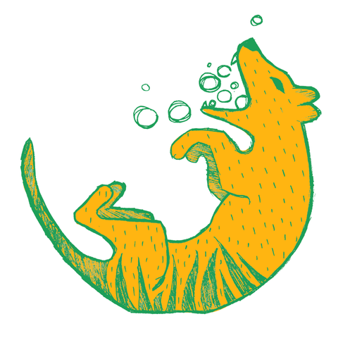 An illustration of a thylacine, or tasmanian tiger, floating with bubbles coming out of its mouth