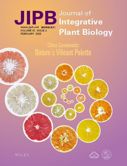 Cover of the February, 2025 issue of JIPB, showing the journal name and the text "Citrus Carotenoids: Nature's Vibrant Palette" with a spiral of cross-sections of various citrus fruits on an orange background that shades to purple.