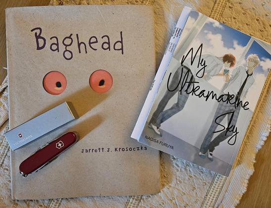 A photo of today's deliveries. A larger brown paper covered book with orange eyes, a manga featuring two high school guys, and a penknife and its transport box.