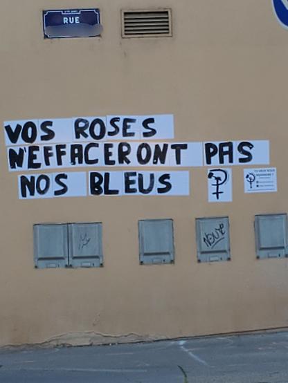 Vos roses n'effaceront pas nos bleus