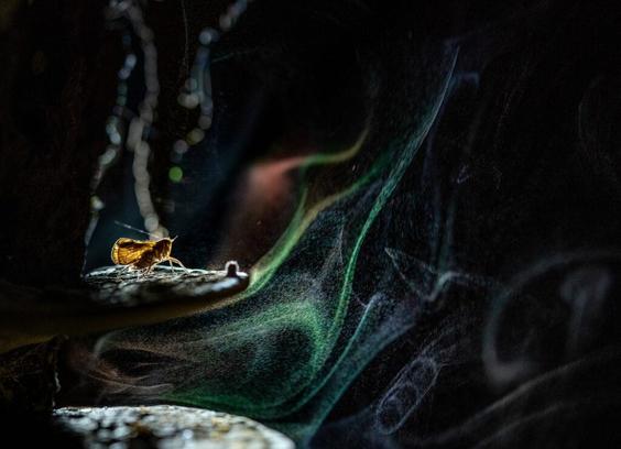 Photo by Avilash Ghosh.