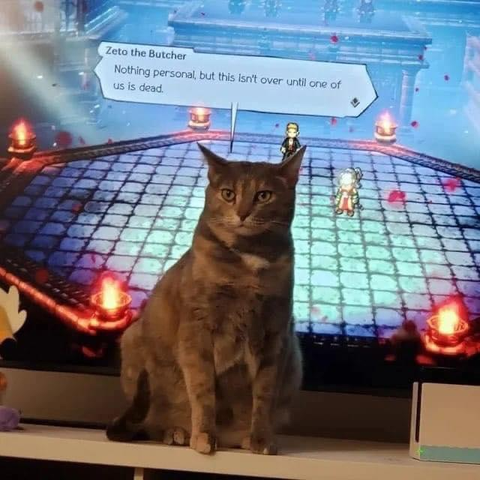 a cat in front of a tv playing a JRPG, the cat's position on the screen is aligned with a character's speech bubble, making it look like the cat is saying "nothing personal, but this isn't over until one of us is dead."