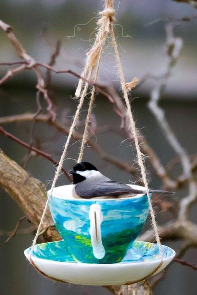 A Carolina Chickadee sits in teacup bird feeder.