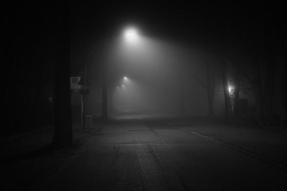 Quiet, foggy street illuminated by streetlights at night, with trees lining the road.
