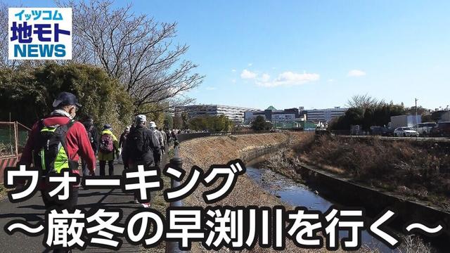 ウォーキング～厳冬の早渕川を行く～【地モトNEWS】2025/2/6放送