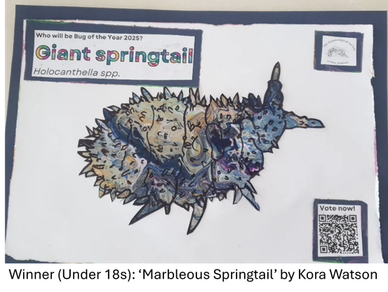 A swirling blue and yellow/brown marble-print style drawing of a giant springtail.