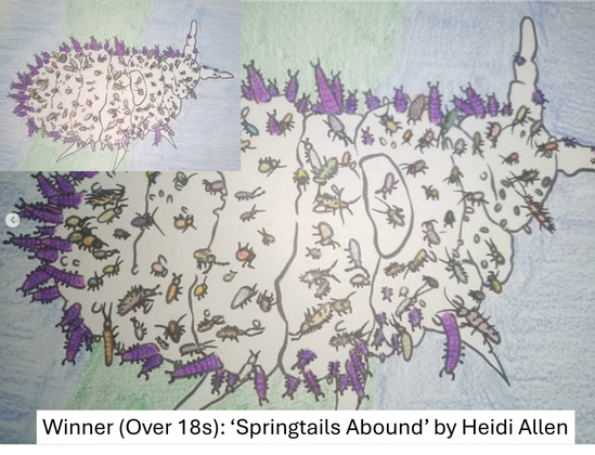 A drawing of a giant springtail, where all of the spines have been converted into multi-coloured tiny springtails of many different kinds.