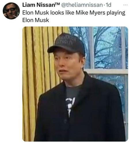 A screenshot of a tweet by Liam Nissan™ (@theliamnissan) that reads:
"Elon Musk looks like Mike Myers playing Elon Musk"

The image in the tweet shows Elon Musk standing indoors, wearing a dark coat, a gray t-shirt, and a black cap that appears to have text on it. His expression looks somewhat awkward or surprised. The background includes gold curtains and a window with a snowy outdoor view, suggesting a formal setting. The tweet humorously compares Musk’s appearance to actor Mike Myers portraying him in a comedic impression.