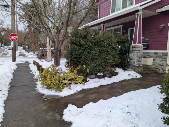 My house, covered in snow, with spotless walkways.