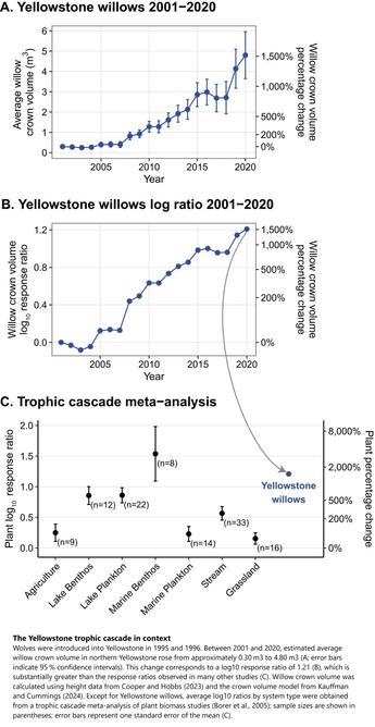 charts - The Yellowstone trophic cascade in context. Wolves were introduced into Yellowstone in 1995 and 1996. Between 2001 and 2020, estimated average willow crown volume in northern Yellowstone rose from approximately 0.30 m3 to 4.80 m3 (A; error bars indicate 95 % confidence intervals). This change corresponds to a log10 response ratio of 1.21 (B), which is substantially greater than the response ratios observed in many other studies (C). Willow crown volume was calculated using height data from Cooper and Hobbs (2023) and the crown volume model from Kauffman and Cummings (2024). Except for Yellowstone willows, average log10 ratios by system type were obtained from a trophic cascade meta-analysis of plant biomass studies (Borer et al., 2005); sample sizes are shown in parentheses; error bars represent one standard error of the mean (C).