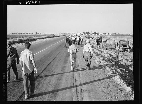 A black and white historical photograph depicting a group of migratory agricultural workers, specifically cotton hoeers. The image captures the essence of rural America during a time when manual labor was prevalent in agriculture.

In this scene, several men are walking along an unpaved road that runs parallel to a paved highway with vehicles visible on it. They appear exhausted and disheveled from their day's work as they make their way home after completing tasks at the end of the fieldwork season. The workers wear simple clothing typical for manual laborers - hats, shirts, pants, and shoes.

The photograph provides insight into the working conditions faced by these individuals during that period in history. It highlights a sense of camaraderie among the group as they walk together down the road, reflecting their shared experiences and challenges of day-to-day life while striving to make ends meet through manual labor for wages ranging from twenty cents an hour.

Further context can be found online regarding Dorothea Lange's work on migrant workers in California during that era.