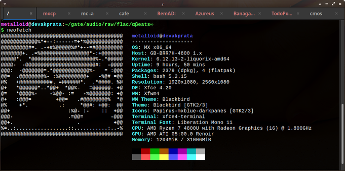 Terminal window running on an MX x86_64 Linux system. The window displays system information using the neofetch command. On the left, there is an ASCII art representation of the MX Linux logo. On the right, system details are listed including the OS, host, kernel version, uptime, number of installed packages, shell, screen resolution, desktop environment, window manager, themes, icons, terminal emulator, terminal font, CPU, GPU, and memory usage. A line of color swatches is visible at the very bottom of the window. The window's title bar shows several open tabs like "mocp," "mc-a," "cafe," and "cmos." The current directory is "~/gate/audio/raw/flac/aẞeats∞".