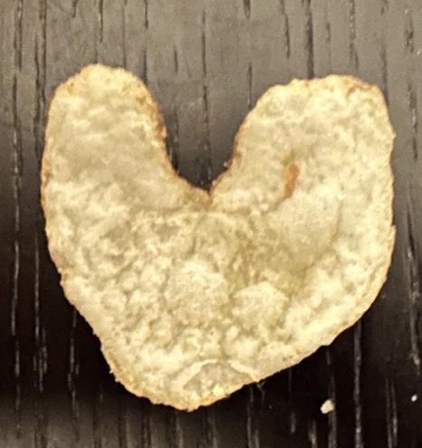 a potato chip in the shape of a heart