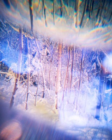 dreamlike photo of a snowy forest